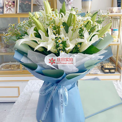 中山8支白色多头百合洋甘菊，互倾的思念