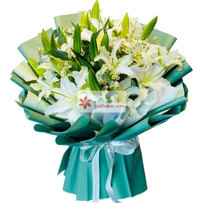 中山8支白色多头百合洋甘菊，如潮的思念