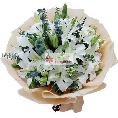 中山9支白色多头百合，祝福你幸福